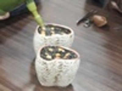 2018-03-19 惜福書苑-第2場 創意生活種子盆栽-動手做