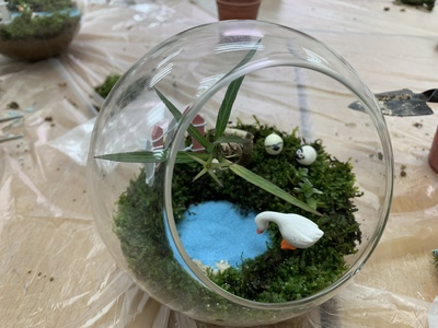 2019-10-07 惜福 108-1 第4場 品味：玻璃微景觀