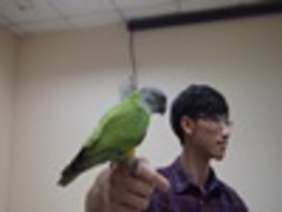 2016-03-22 感恩 104-2第五場 品德：寵物分享：臺灣人飼養文化
