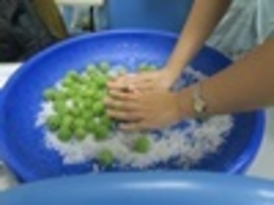 2018-04-10 感恩书苑-第3场 清明过后好醃梅