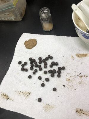 2020-04-20 感恩 108-2 第3场品味：怀放枕藏梦绕香：中国的香囊文化与香丸制作